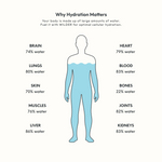 Yuzu Electrolyte (30 Pack)