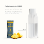 Pineapple Electrolyte (30 Pack)